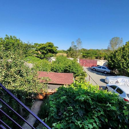 Vila Hipo Venus Exteriör bild